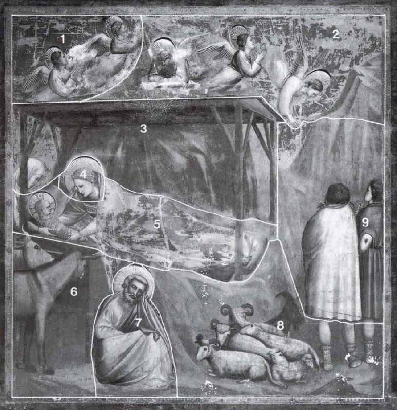 GIOTTO di Bondone The birth, with the giornate indicated